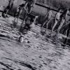25 jahre hallenbad 1994