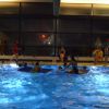 abbaden 2015 20181030