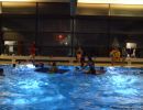 abbaden 2015 20181030