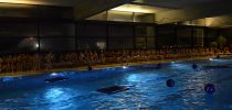 abbaden 2015 20181030