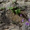 ausbilderhuette 2014 20181030