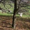 ausbilderhuette 2014 20181030