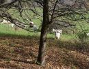 ausbilderhuette 2014 20181030