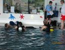 beachparty 2009 20181026