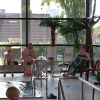 beachparty 2009 20181026