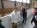 eislaufen 2014 20181030