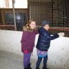 eislaufen 2015 20181030