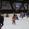 eislaufen 2019 20190203