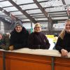 eislaufen 2019 20190203