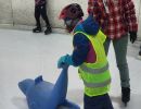 eislaufen 2025