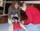 erste hilfe kurs 2003 20181018