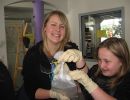 erste hilfe kurs 2012 20181027