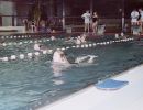 hallenbad 1992 20181101