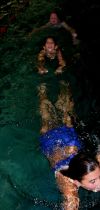 hallenbad 2002 20181018