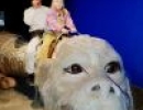 jahresausflug 1990 20181031