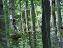 jugendausflug 2008 20181026