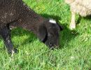 jugendhuette 2008 20181026