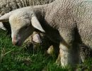 jugendhuette 2008 20181026