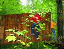kletterwald 2012 20181027