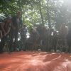 kletterwald 2014 20181030