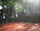kletterwald 2014 20181030