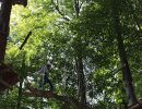 kletterwald 2015 20181030