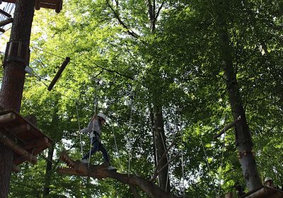 Kletterwald 2015