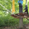 kletterwald 2015 20181030