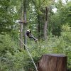 kletterwald 2015 20181030