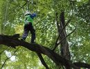 kletterwald 2017 20181031