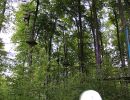 kletterwald 2017 20181031
