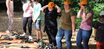 kletterwald 2018 20190123