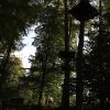 kletterwald 2018 20190123