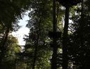 kletterwald 2018 20190123