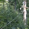 kletterwald 2018 20190123