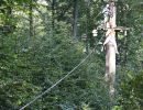 kletterwald 2018 20190123