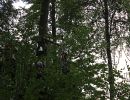 kletterwald 2019 20191119