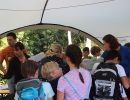 kletterwald 2019 20191119