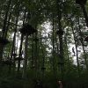 kletterwald 2019 20191119