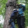 kletterwald 2019 20191119
