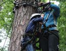 kletterwald 2019 20191119
