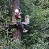 kletterwald 2019 20191119