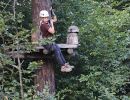 kletterwald 2019 20191119