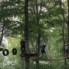 kletterwald 2019 20191119