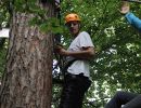 kletterwald 2019 20191119