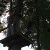 kletterwald 2019 20191119