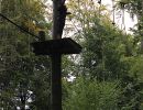 kletterwald 2019 20191119