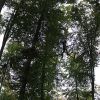 kletterwald 2019 20191119