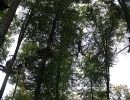 kletterwald 2019 20191119