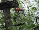 kletterwald 2019 20191119